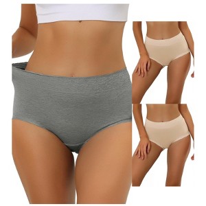 Allegra K Women's High-Waisted Lace Trim Tummy Control Full Coverage Briefs 3 Packs - 1 of 4