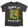 Teenage Mutant Ninja Turtles Have A Slice Day Youth T Shirt, Charcoal - 2 of 4