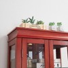 VYNXARIA Lighted Glass Curio Display Cabinet - Elegant Wood Frame, Cherry Finish - 4 of 4