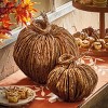tag Large Natural Wood Vine Pumpkin Decor - Thanksgiving Decorative Sculpture, 11" x 11" x 10" - Holiday Home Accent - 2 of 2