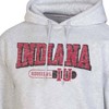 NCAA Indiana Hoosiers Gray Fleece Hooded Sweatshirt - 3 of 3