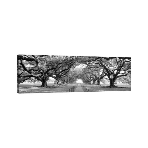 47 X 47 Canvas Landscape Trees Framed Wall Art With Silver Frame White -  Olivia & May : Target