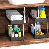 Racxily 2-Tier Under Sink Shelf, Bathroom Cabinet Organizers and Storage with 4 Hook, Storage Rack for Kitchen, Bathroom, Black - 2 of 4