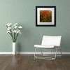 Trademark Fine Art -Kurt Shaffer 'Why I Love Autumn 2' Matted Framed Art - 3 of 4