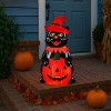 Mr. Halloween 18 in. Outdoor Cat Lit Blow Mold - 2 of 4