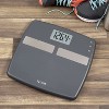 Taylor 400 Lb. Capacity Digital Body Composition Analyzer Bath Scale, Gray - image 3 of 4