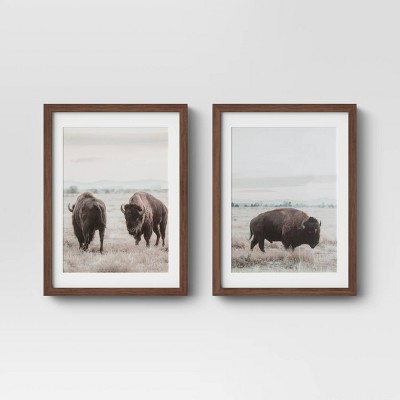 12" x 16" Buffalo Framed Prints - Threshold™