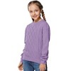 Girls Long Sleeve Cable Knit Sweater Crewneck Pullover Sweaters Kids Chunky Cute Fall Jumper Tops - 3 of 4
