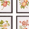 Plum & Post Autumnal Fruit Prints, Set of 4 - Pink/Orange - Fir Wood - 3 of 4