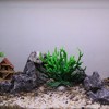 Unique Bargains Colorful Coral Reef Decor Mini Faux Coral Decor for Aquarium Decorations 6.5"x5.83" 1 Pcs - 2 of 4