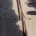 montalcino elm