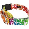 Country Brook Petz HossFit Jr Wide Martingale with Deluxe Buckle - Groovy Collection (Trippy Doggo, Large) - 2 of 4