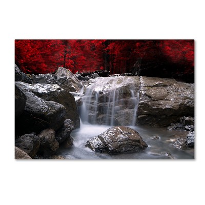 Trademark Fine Art - "Red Vison" Outdoor All-Weather Wall Decor