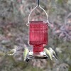 Nature's Way Bird Products 22oz Carnation Antique Glass Hummingbird Feeder 6.5" Red - 3 of 4