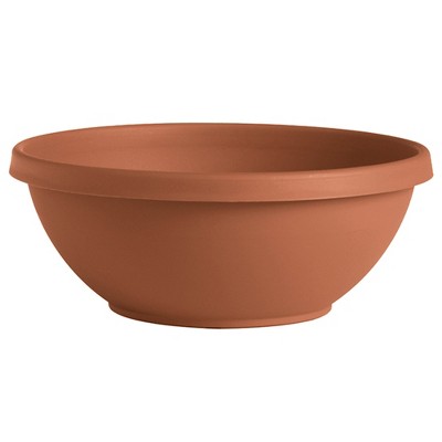 Bloem Terra 14"W x 5.5"H Gardening Bowl Planter, Terracotta (Saucer Sold Separately)