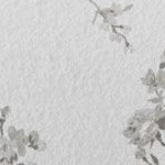 sylvan rose gray