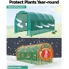 Greenhouse Tunnel 15x6.5x6.5ft,Galvanized Steel Tunnel Greenhouse with Zippered Doors and Window,for Home Gardening Seed - 4 of 4