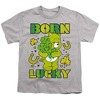 Boys' Short Sleeve Care Bears Born Lucky Good Luck Bear St. Patrick's Day Kids T-Shirt - 2 of 4