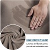 J&V TEXTILES Rich Floral Pattern Velvet Stretch Chair Cover Chair Slipcover Sofa Cover Furniture Protector Couch Soft with Elastic Bottom - 2 of 3
