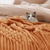 Bedsure | Indulge in Comfort Bed Blanket with Unique Chunky Corduroy Texture - 4 of 4