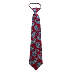 Men's Paisley 3.25 Inch W And 20 Inch L Zipper Neckties - 1 of 3