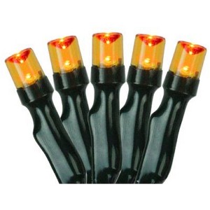 Northlight Battery Operated LED Christmas Lights - Orange - 9.5' Black Wire - 20ct - 1 of 1
