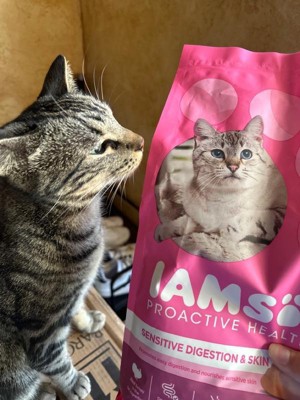 Iams sensitive outlet stomach