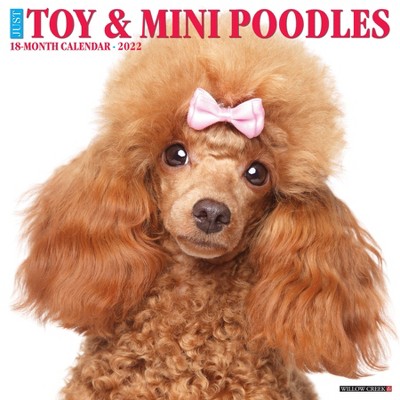 2022 Wall Calendar Joy Toy & Miniature Poodles - Willow Creek Press