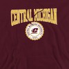 Men's Central Michigan University Collegiate Seal Pull-Over Hoodie - 2 of 4
