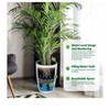Set of 4 Self-Watering Planters (16" tall) with built-in drainage & water monitor. Perfect for patio, porch, living room, or office. - 3 of 4