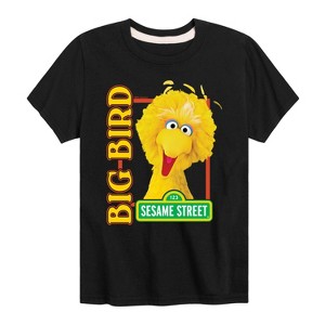 Boys' - Sesame Street - Big Bird Photo Short Sleeve Graphic T-Shirt - 1 of 4