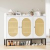 Shoe Cabinet with 3 Rattan Doors, Freestanding Shoe Organizer with Adjustable Shelves - 4 of 4
