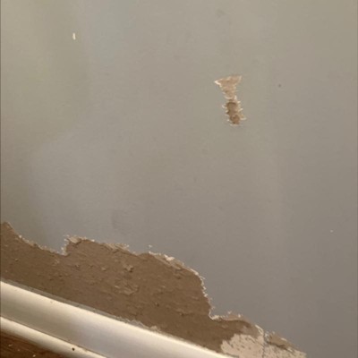 Guest review image 2 of 2, zoom in