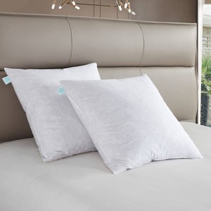 Euro 2pk Firm Feather Down Bed Pillow - Martha Stewart: 233 Thread Count, 100% Cotton, 26x26 Universal Sleeper - 1 of 4