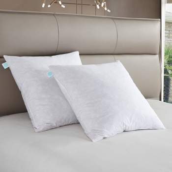 Euro 2pk Firm Feather Down Bed Pillow - Martha Stewart