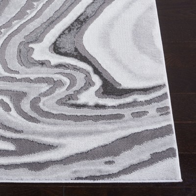 Luis Light Grey and Gray Square Synthetic Area Rug