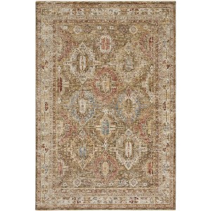 Nourison Petra Oramental Indoor Rug - 1 of 4