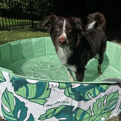 Piscina Para Perros Pequeños Gimdog Splash Time! S (80 X 20 Cm) con Ofertas  en Carrefour