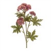 Sedum Succulent Spray (Set of 6) - 2 of 2
