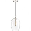 Quoizel Lighting Nostalgia 1 - Light Pendant in  Polished Nickel - 2 of 3