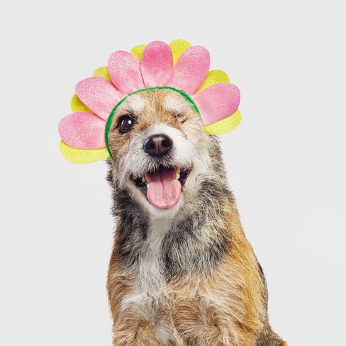 Dog hotsell flower costume