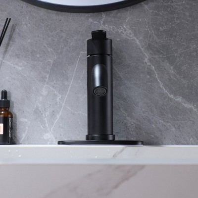 Matte Black Stainless Steel Single-Handle Bathroom Faucet