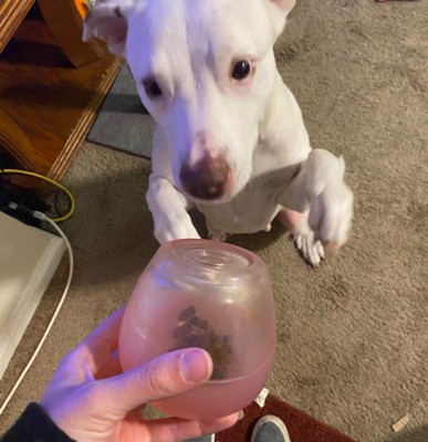 Guest review image 1 of 1, zoom in