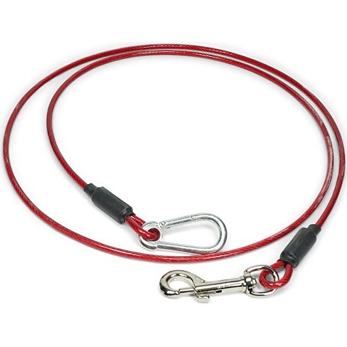 Tie out outlet leash