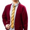 Spooky Central Yellow Wizard School Necktie with Glitter for Halloween Costumes and Cosplay, School Uniform - 2 of 4