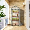 SEVOBAL Greenhouse Mini 4 Tier Green Houses Rolling Door Full Plant Grow Early Spring Seed Germination Indoor Growing Outdoor, Clear, 72"*48.5"*8.5" - 2 of 4