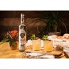 Corralejo Silver Tequila - 750ml Bottle - image 4 of 4