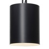 Crystorama Lighting Alston 1 - Light Chandelier in  Matte Black/White - 3 of 4