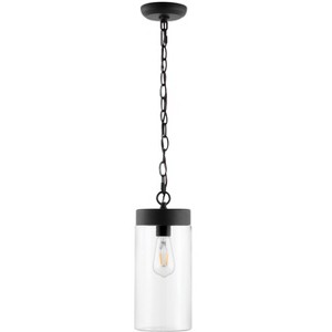 Lianne 5.7" Outdoor Pendant - PLT4037 - Black - Safavieh - 1 of 4