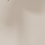 light ivory (vertical grain paper)